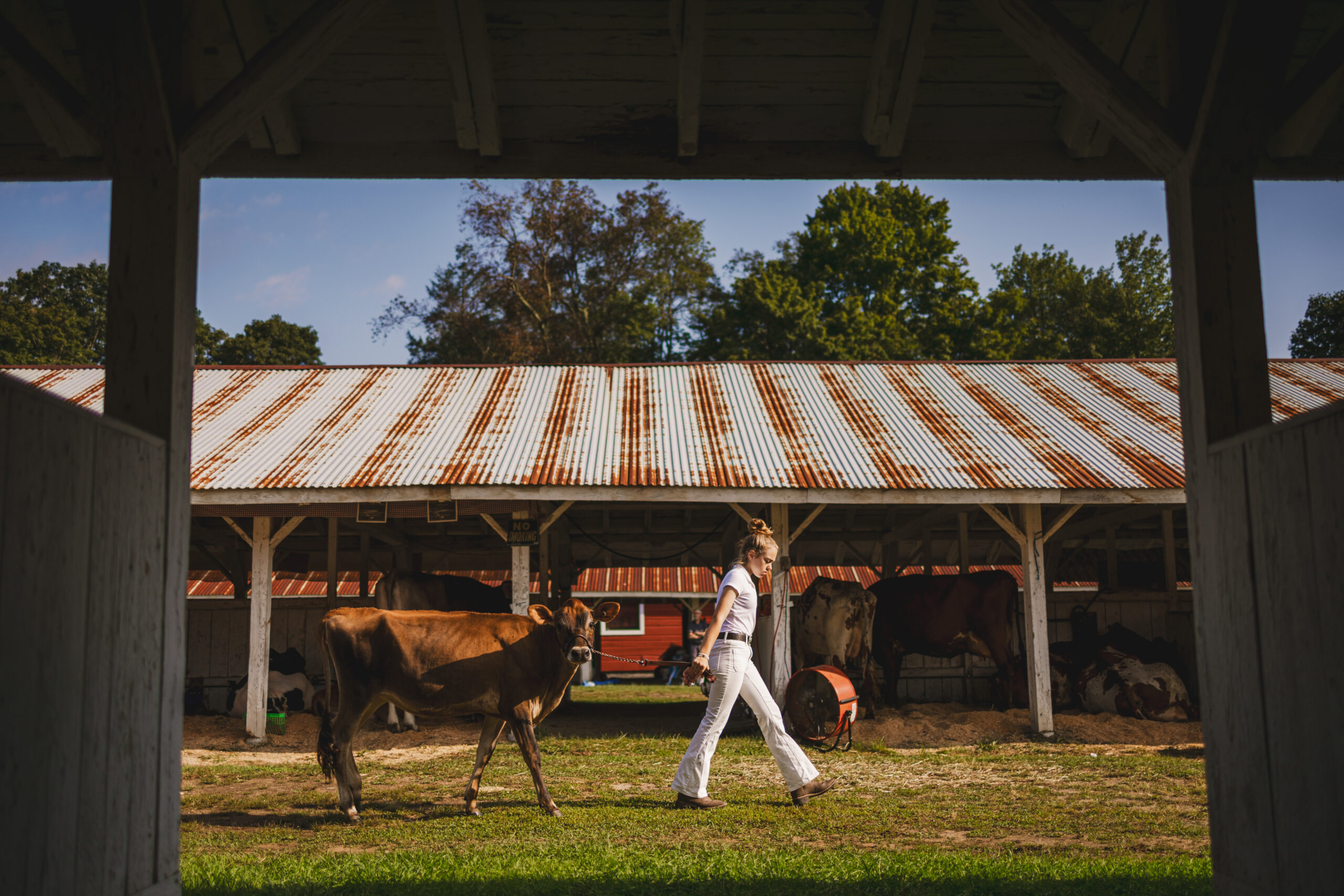 The Franklin County Fair