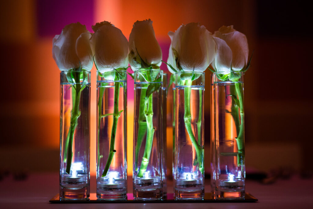 Six white roses in individual glass vases with water, illuminated from below against a blurred warm-toned background.