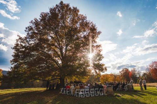 A Western MA Wedding Photographer captures a romantic wedding ceremony under a tree in the fall.