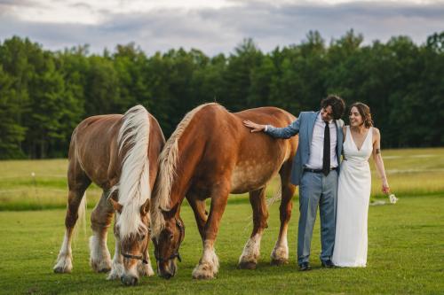 A Western MA Wedding Photographer captures a bride and groom standing next to horses in a field.